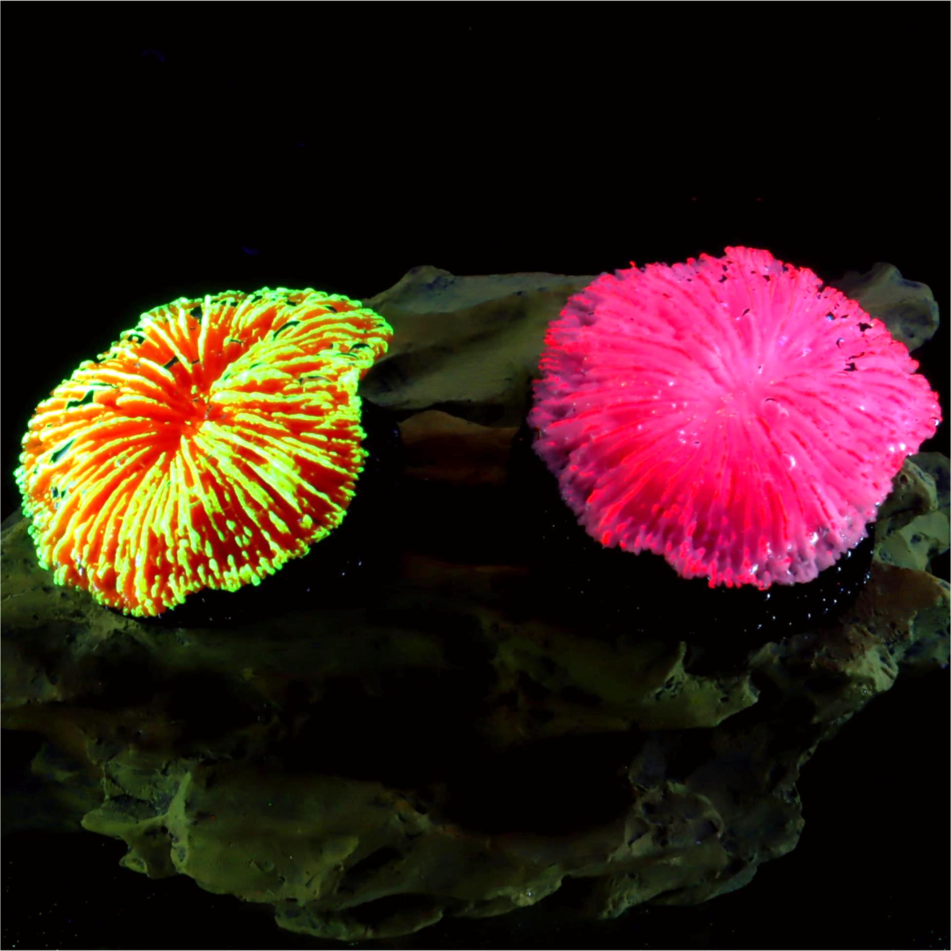 Live Plant Aquarium - 1 Pezzo Decorazione per Acquario Corallo
