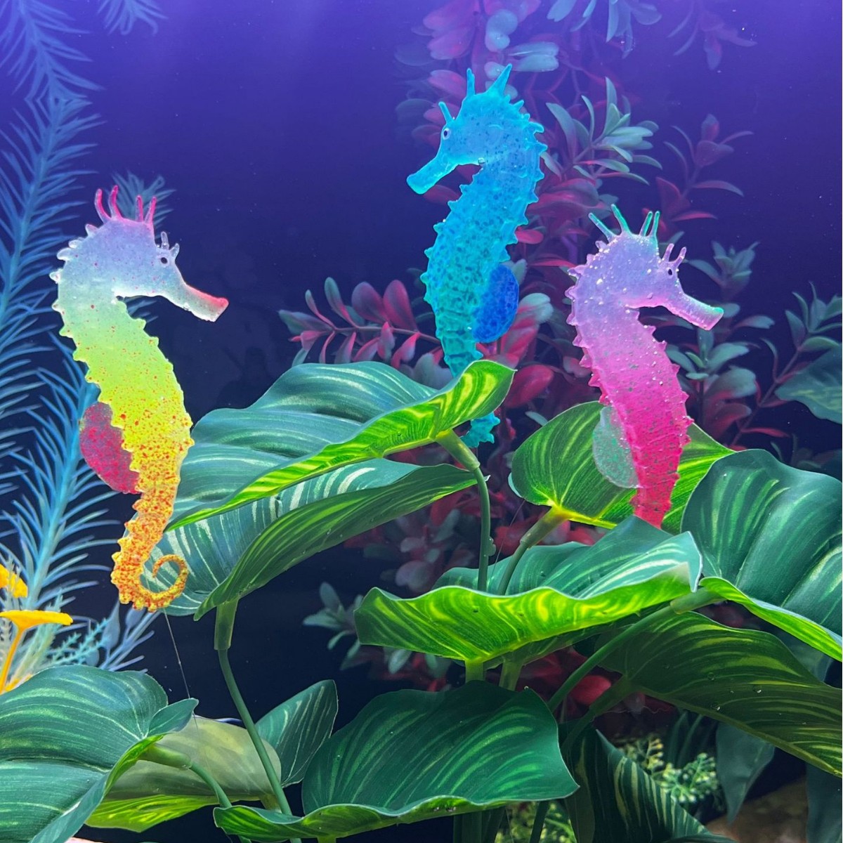 Aquarium Plant Substrate - Decorazione per Acquario a Forma di