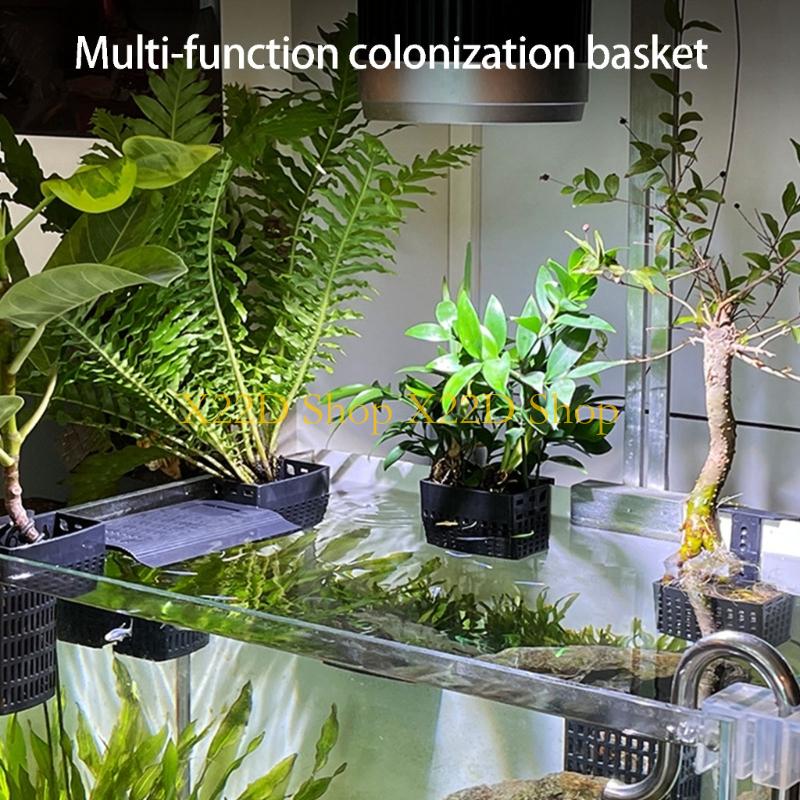 Aquarium Plant Holder - X22D Contenitore da parete in plastica