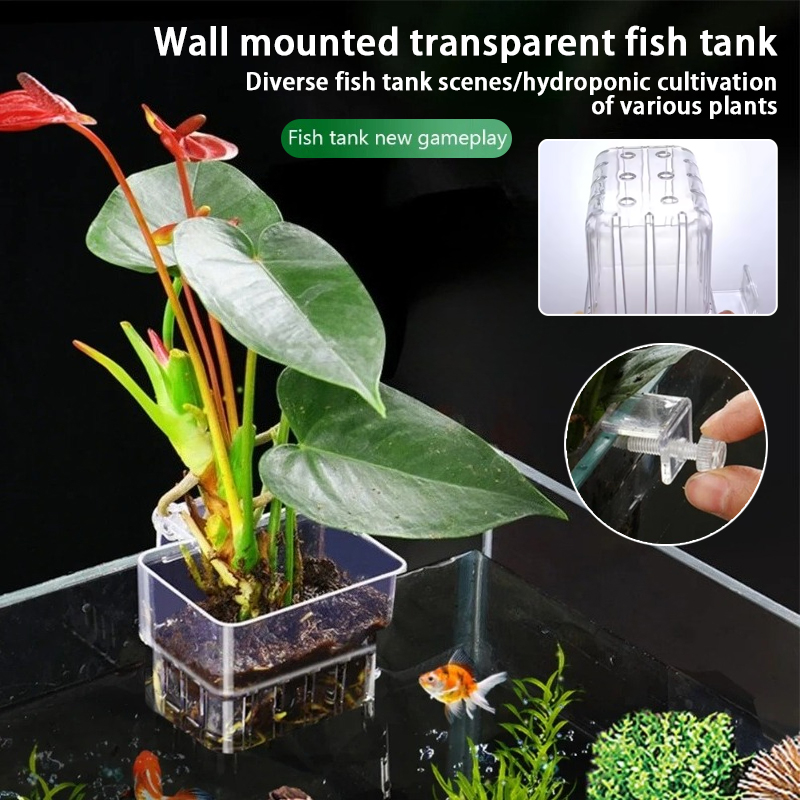 Plant Aquarium Pot - Vasi pensili per acquario, supporti a