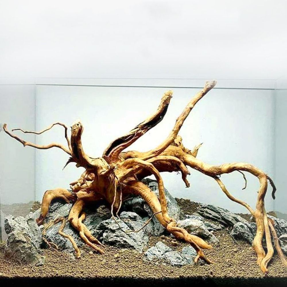 Aquarium Driftwood - Legno Naturale per Acquario 20-25CM, Decorazione