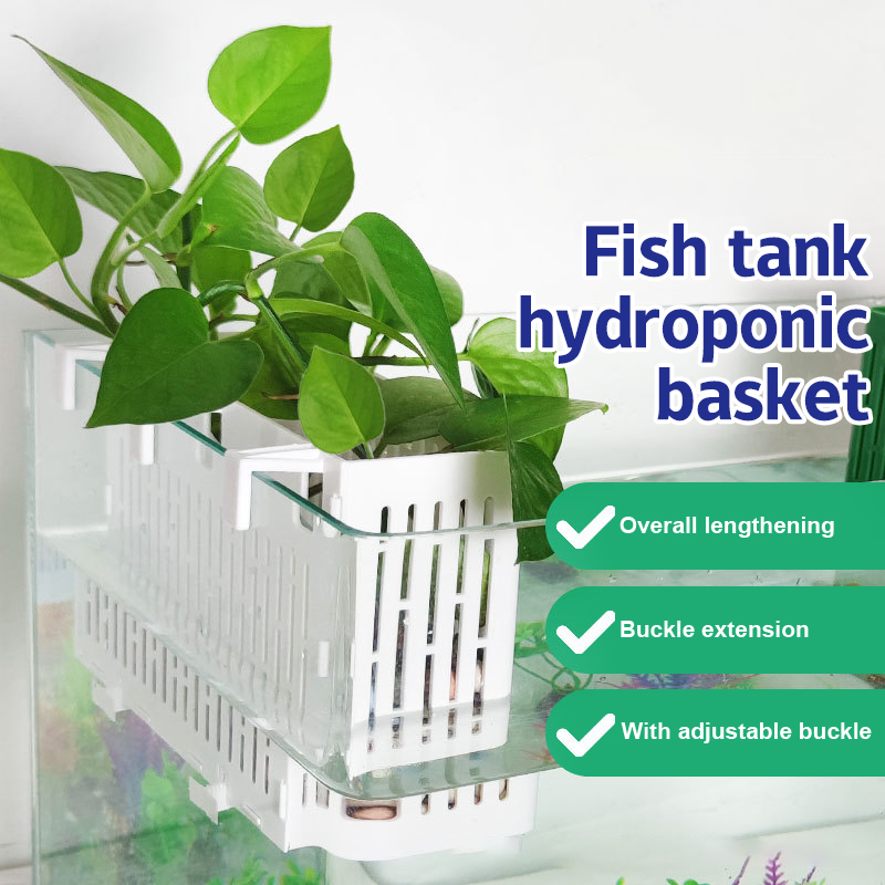 Aquarium Plant Holder - 【F】Porta-piante sospeso per acquario, cestino idroponico