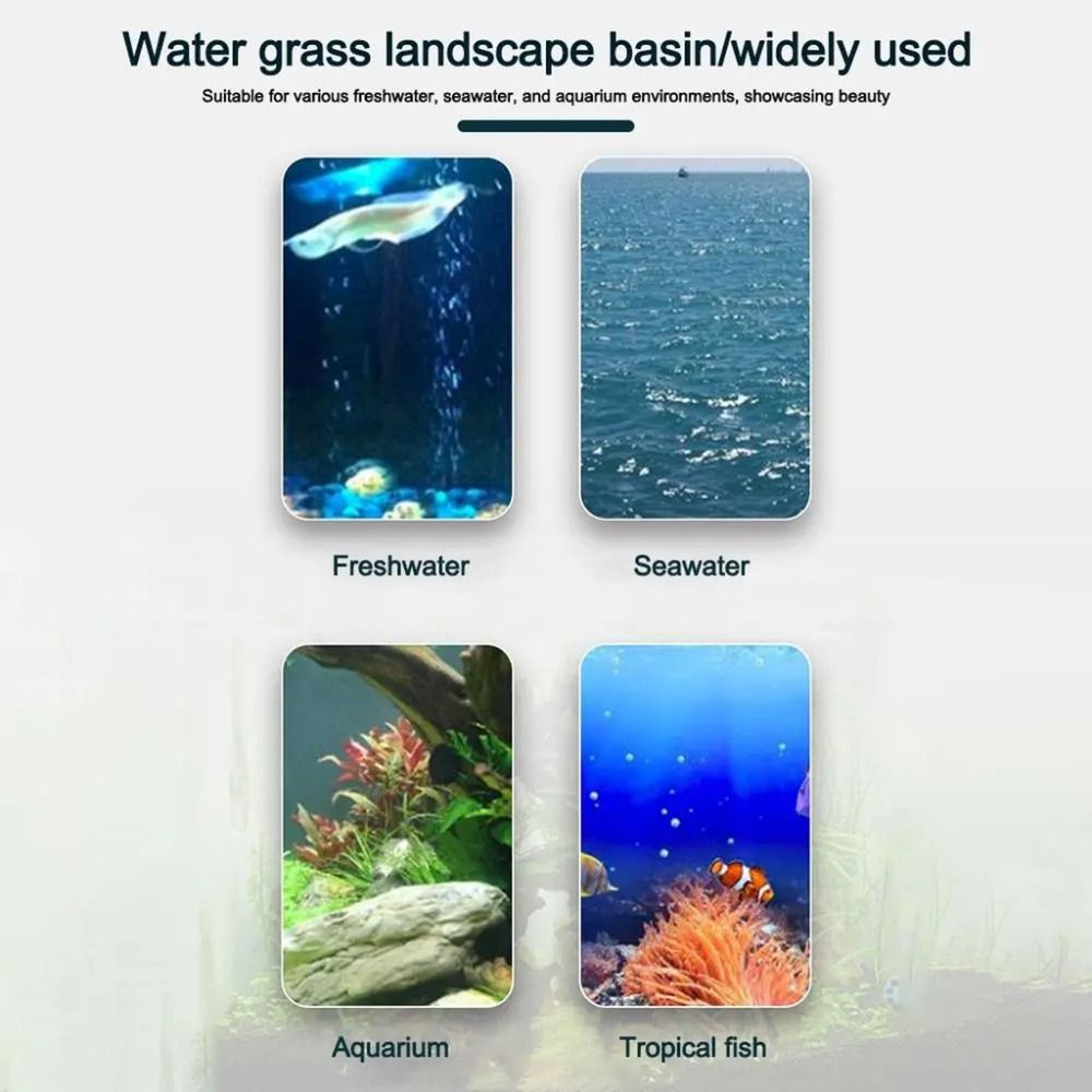 10 Pezzi Vasi Idroponici Trasp - Aquarium Plants Live recensione e prezzo