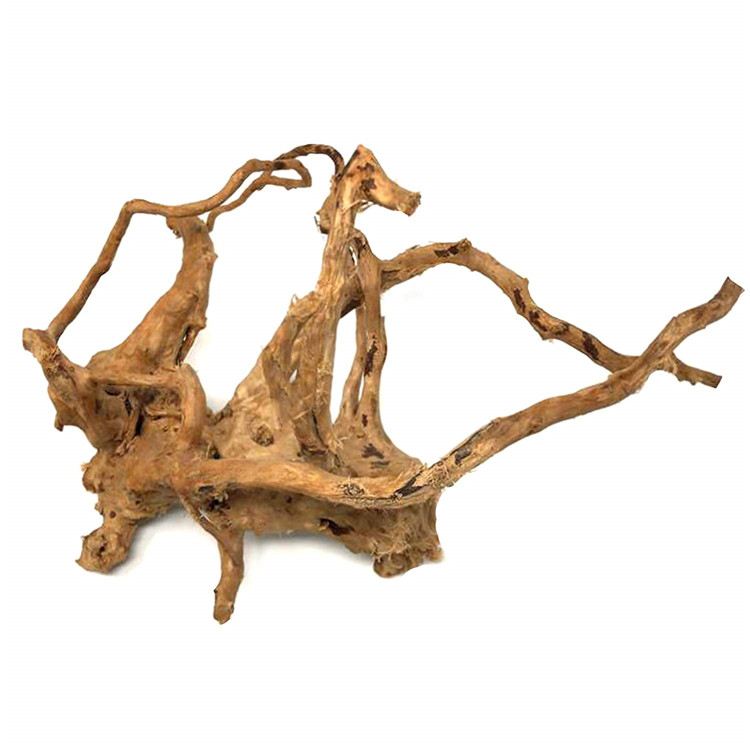 Legno Naturale Lucidato per Ac - Aquarium Driftwood recensione e prezzo