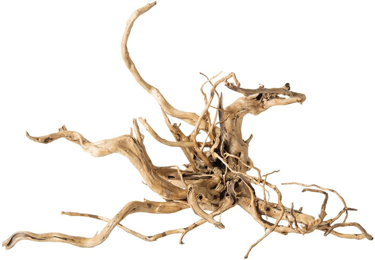 Legno Naturale Lucidato per Ac - Aquarium Driftwood recensione e prezzo
