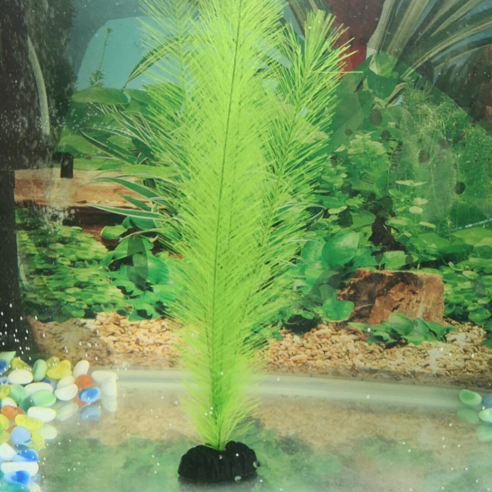 1/3 Pz 28/40 cm Acquario Serba - Aquarium Plants Live recensione e prezzo