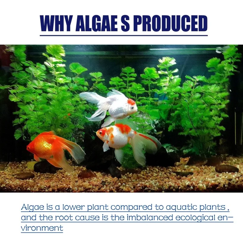 Algaecida ad alta efficienza d - Aquarium Moss recensione e prezzo
