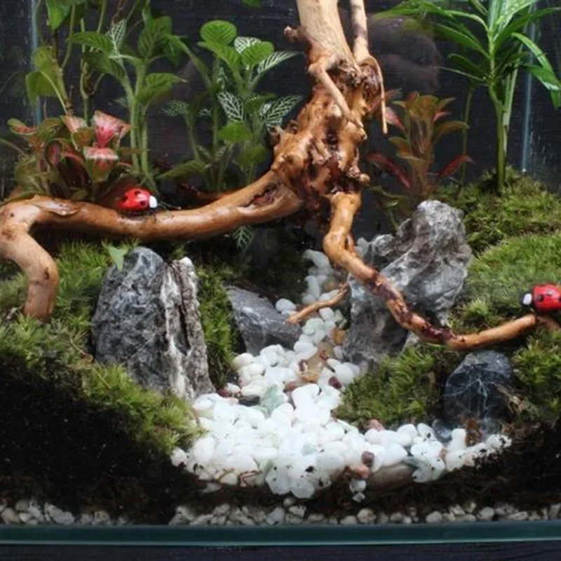 Tronco d'albero naturale Drift - Aquarium Driftwood recensione e prezzo