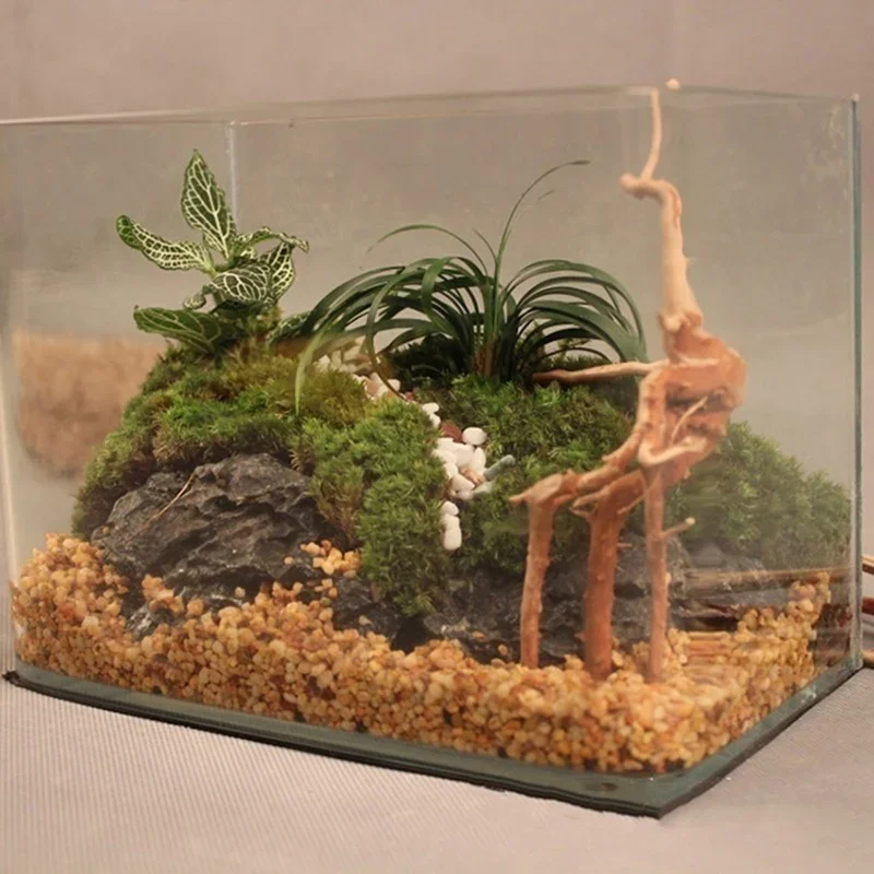 Tronco d'albero naturale Drift - Aquarium Driftwood recensione e prezzo