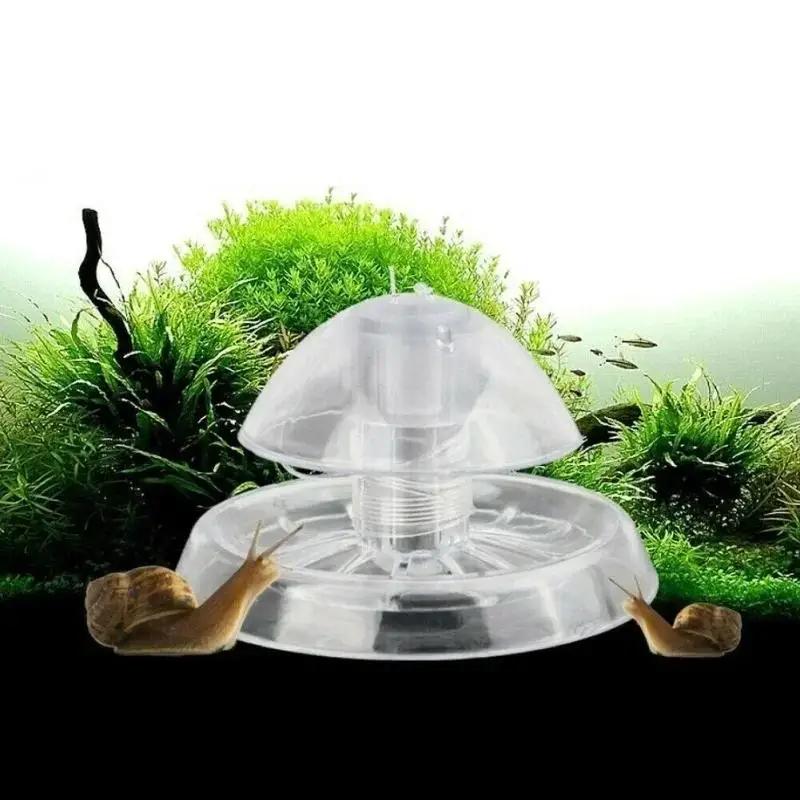 Nuova Trappola per Lumache in  - Planted Aquarium Cleaning recensione e prezzo