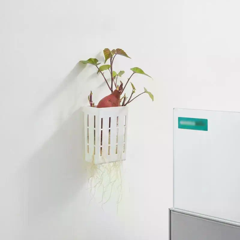 1 Pezzo Cestino di Supporto Id - Aquarium Plant Holder recensione e prezzo