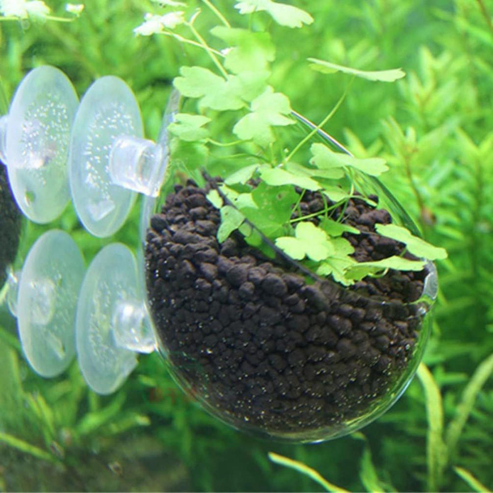 Supporto per Piante Acquatiche - Aquarium Moss recensione e prezzo