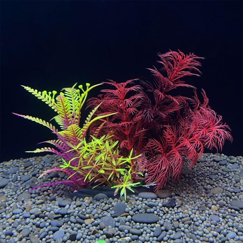 Decorazione artificiale per ac - Live Plant Aquarium recensione e prezzo