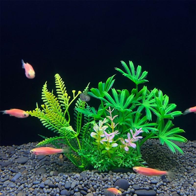 Decorazione artificiale per ac - Live Plant Aquarium recensione e prezzo