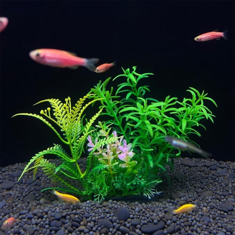 Decorazione artificiale per ac - Live Plant Aquarium recensione e prezzo