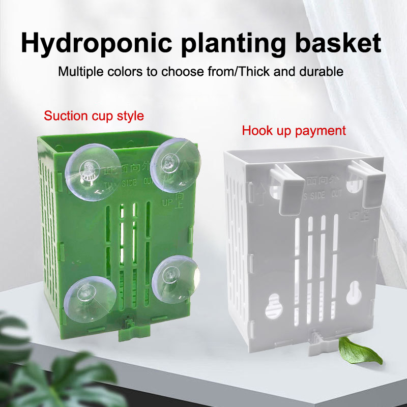 Gancio a ventosa sospeso Porta - Aquarium Plant Holder recensione e prezzo