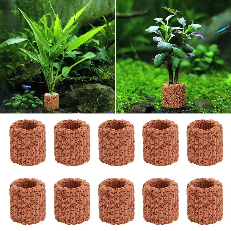 Anello fisso per piante acquat - Plant Aquarium Pot recensione e prezzo