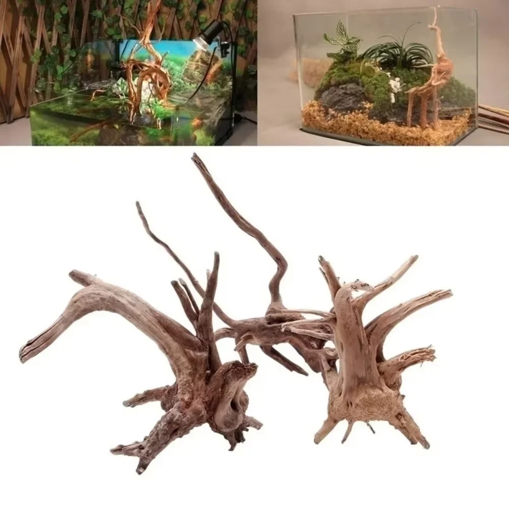 Legno Naturale per Acquario 15 - Aquarium Driftwood recensione e prezzo