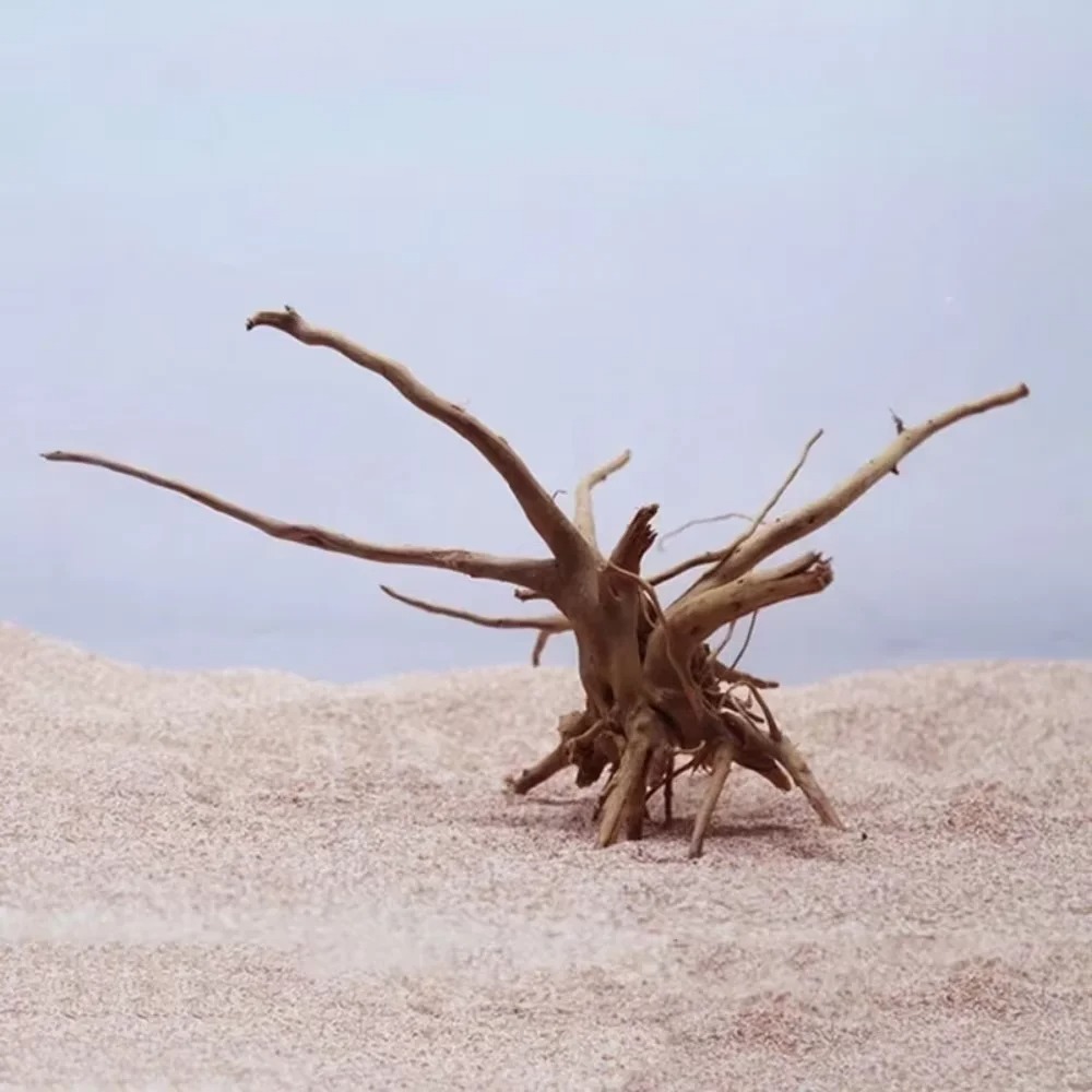 Legno Naturale per Acquario 15 - Aquarium Driftwood recensione e prezzo