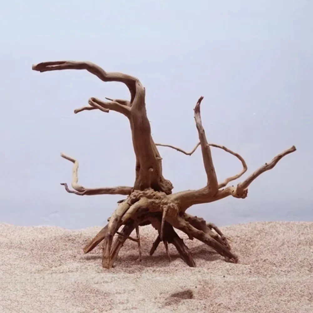 Legno Naturale per Acquario 15 - Aquarium Driftwood recensione e prezzo