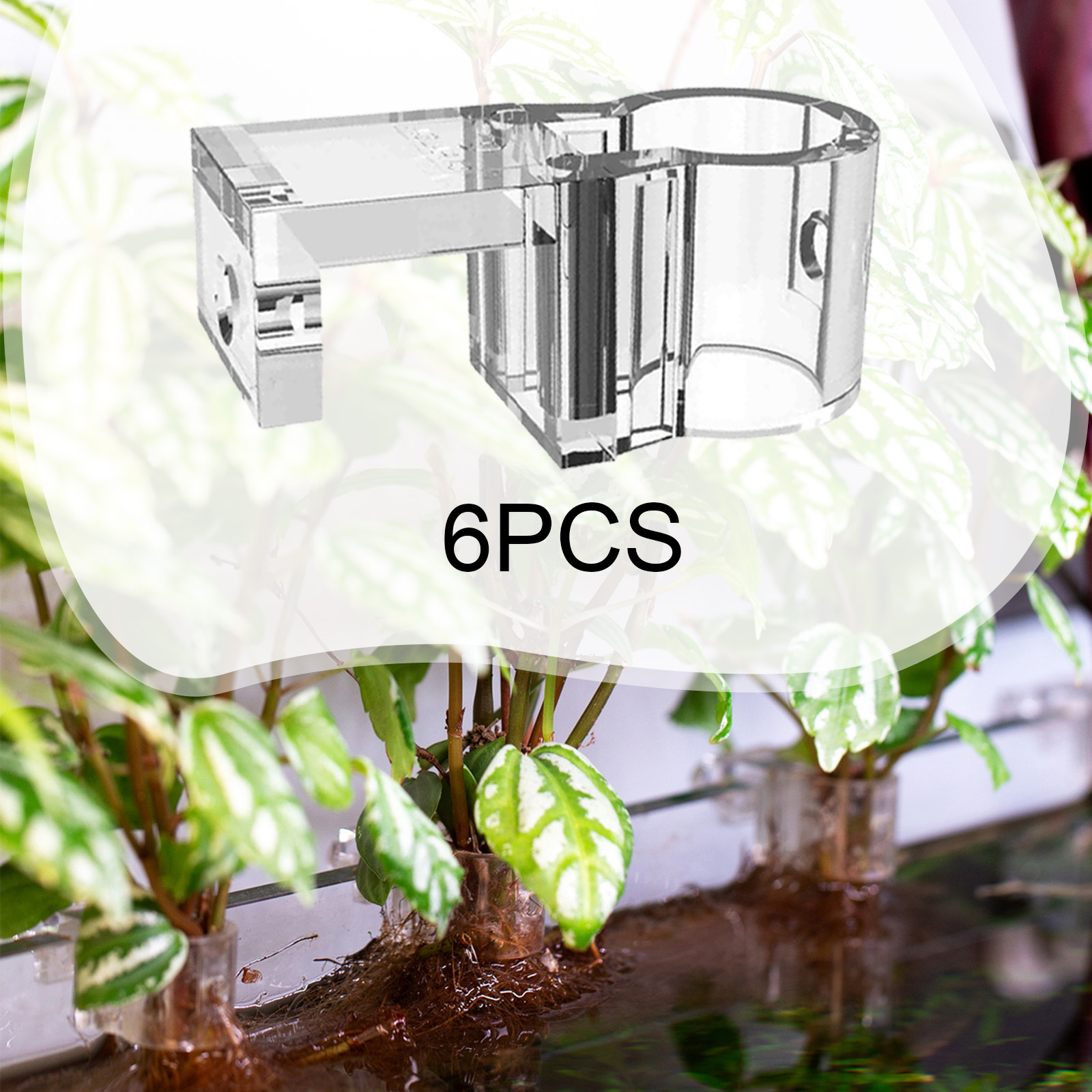 6 Pezzi Supporti per Piante da - Plant Aquarium Pot recensione e prezzo