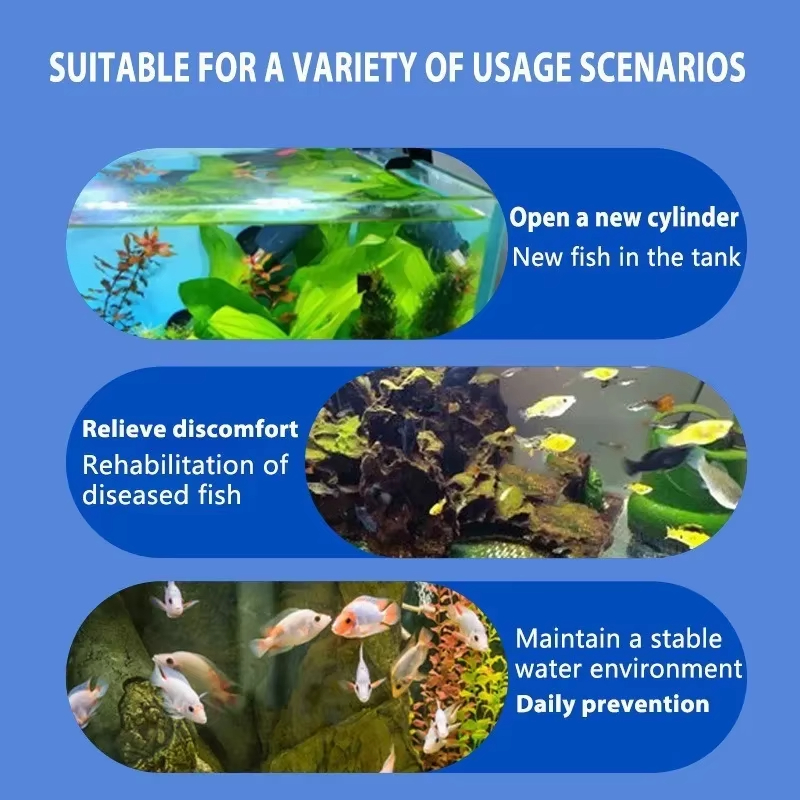 SIKEZHAN Trattamento malattie  - Aquarium Fertilizer recensione e prezzo