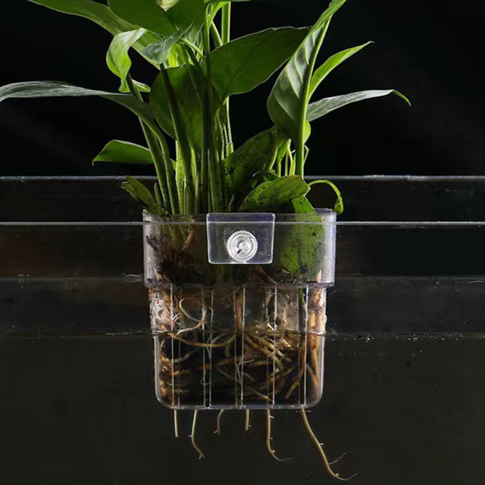 Cestello per Piante Idroponich - Aquarium Plant Holder recensione e prezzo