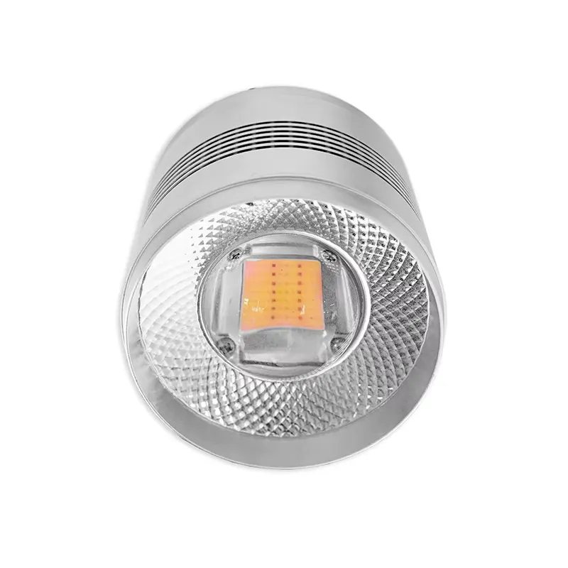 Novatech Global Lampada LED pe - Planted Aquarium Algae Control recensione e prezzo