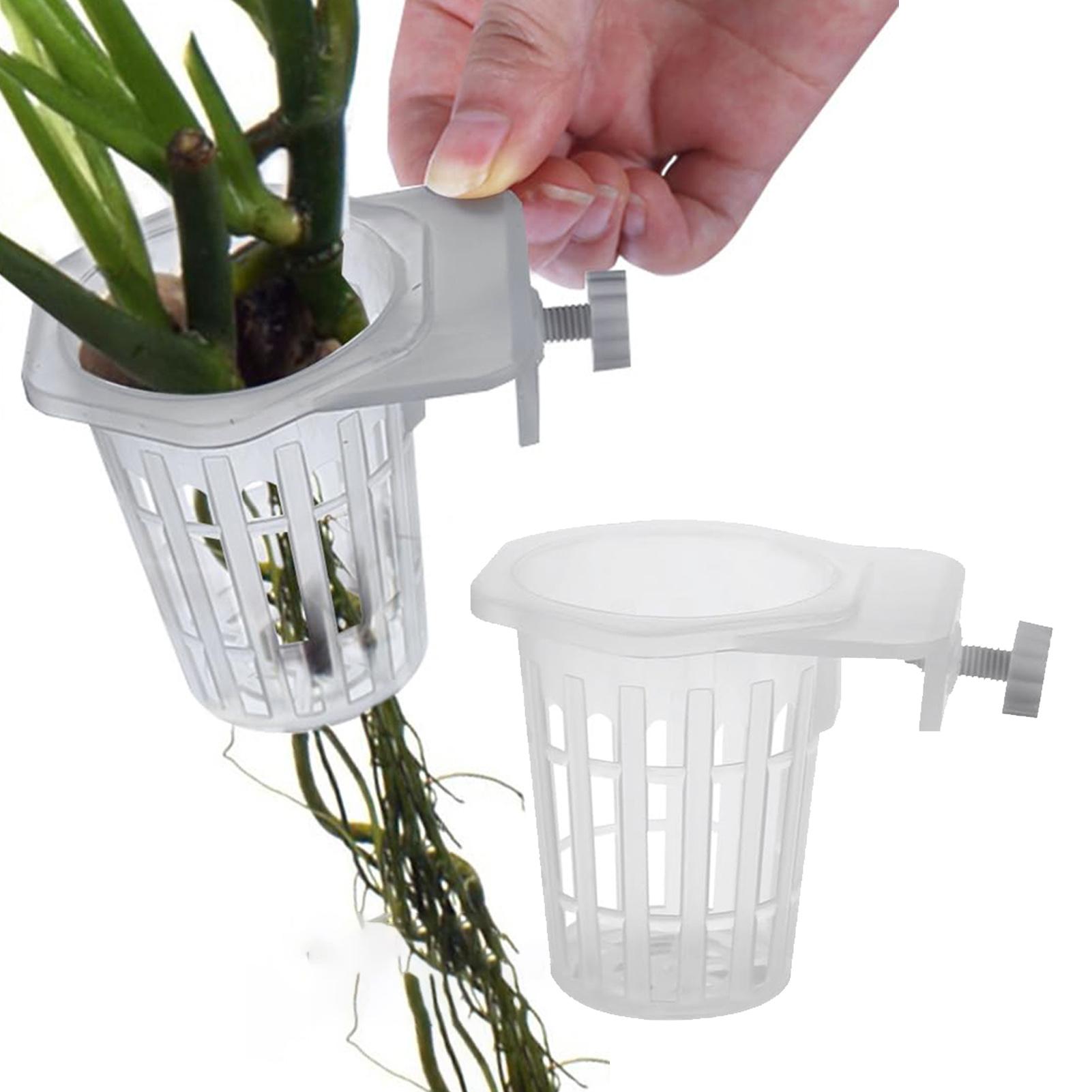 2 pezzi di supporti per piante - Aquarium Plant Holder recensione e prezzo