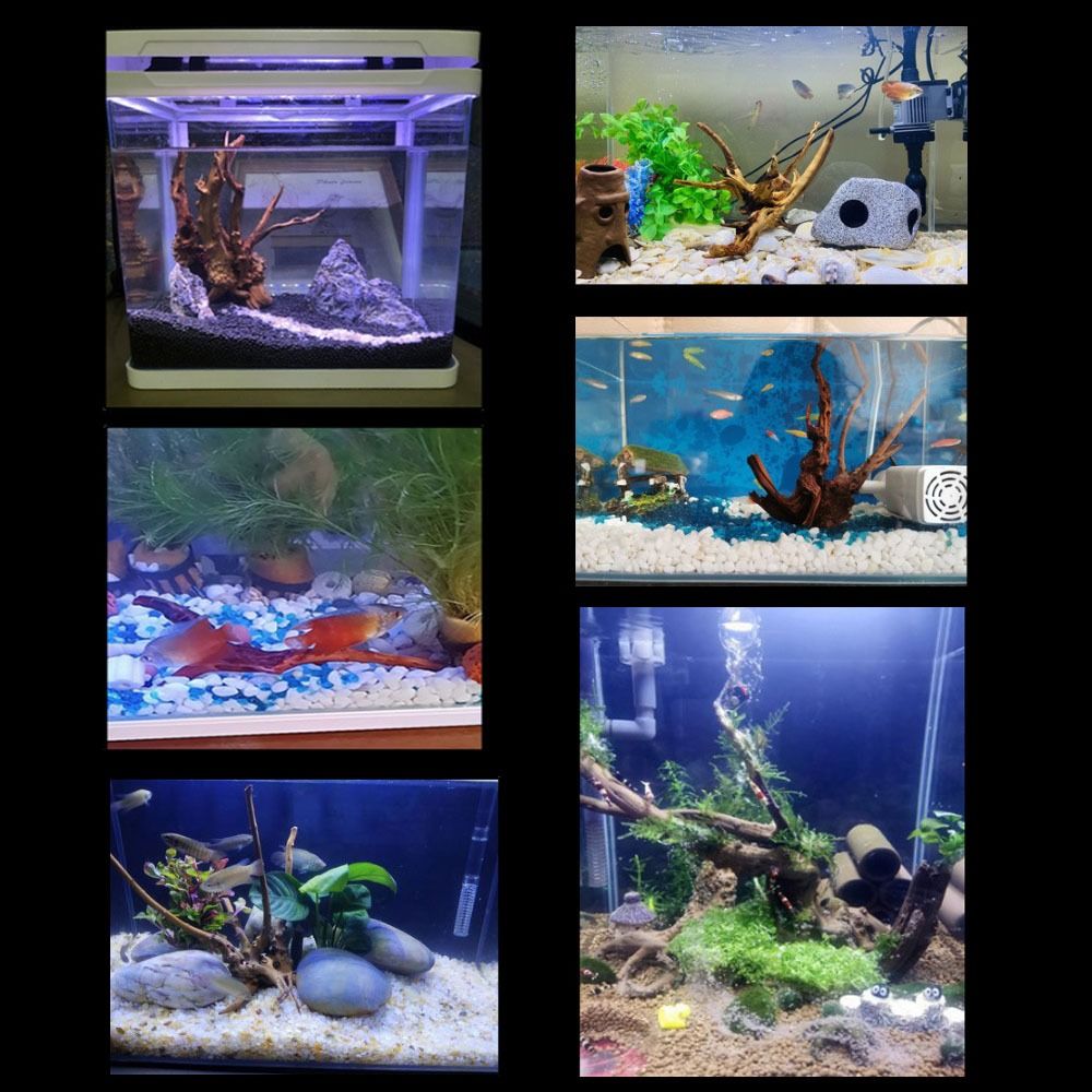 Legno Naturale per Acquario 20 - Aquarium Driftwood recensione e prezzo