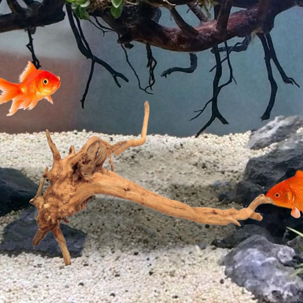 Legno Naturale per Acquario 20 - Aquarium Driftwood recensione e prezzo