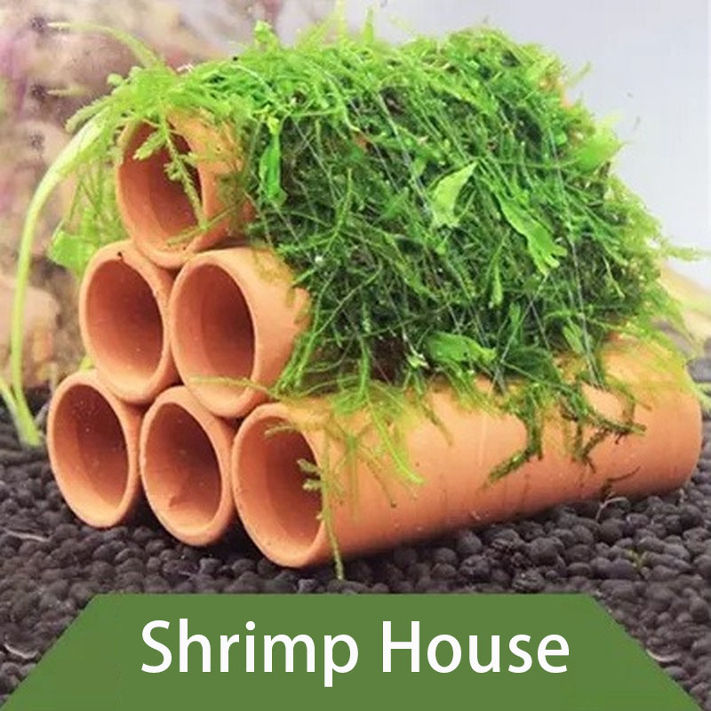 Decorazione per acquario in ar - Aquarium Plants Live recensione e prezzo