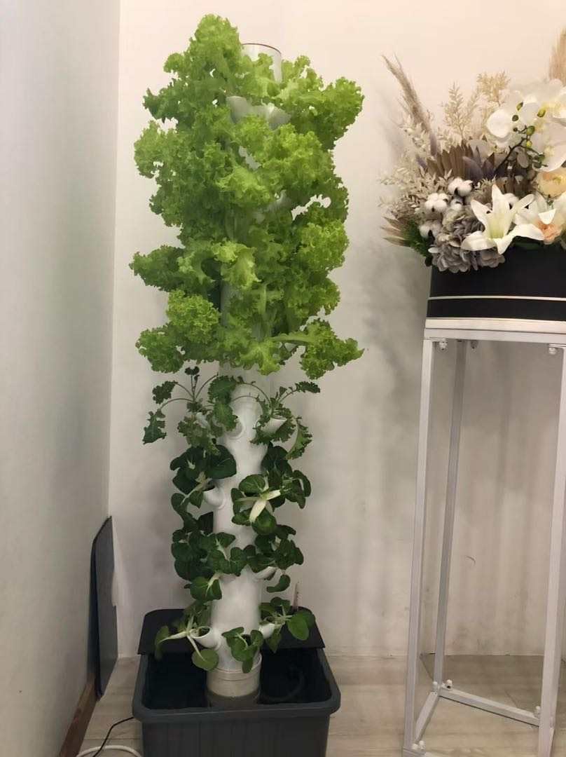 Torre di Coltivazione Idroponi - Planted Tank recensione e prezzo