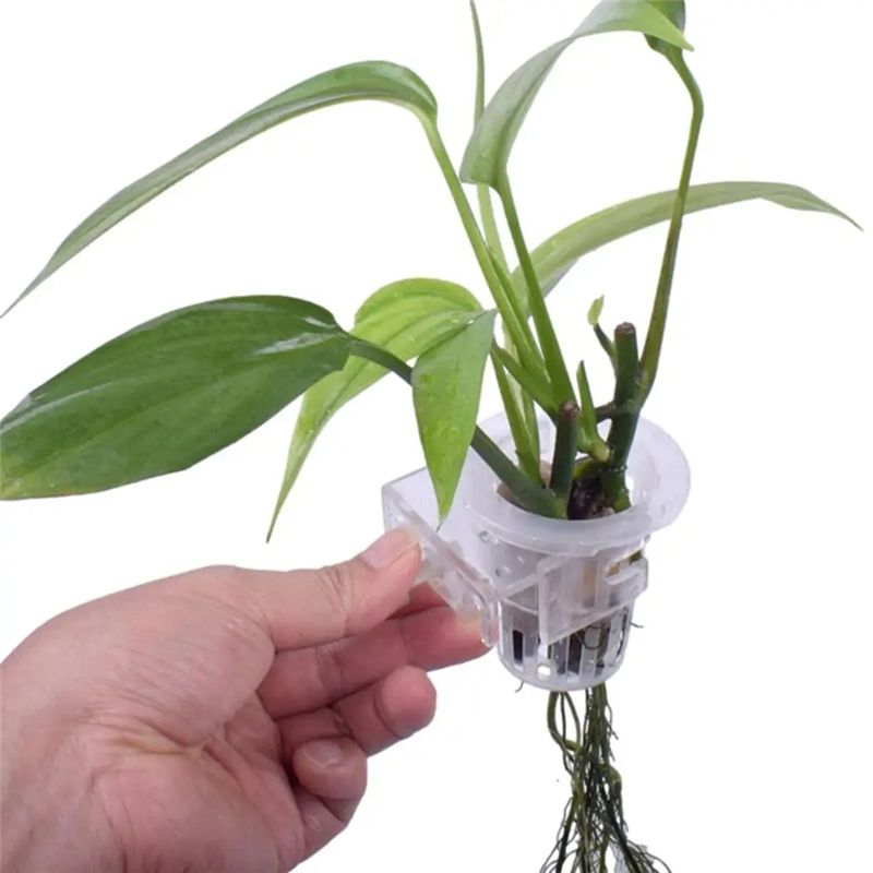 A7THK-2 pezzi, supporto traspa - Aquarium Plant Holder recensione e prezzo