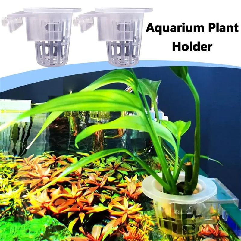 A7THK-2 pezzi, supporto traspa - Aquarium Plant Holder recensione e prezzo