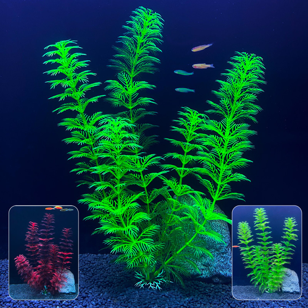 Piante Artificiali per Acquari - Aquarium Plants Live recensione e prezzo