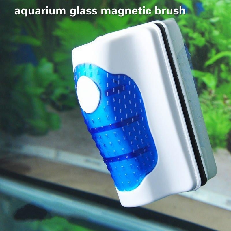 Raschietto per pulizia del vet - Planted Aquarium Cleaning recensione e prezzo