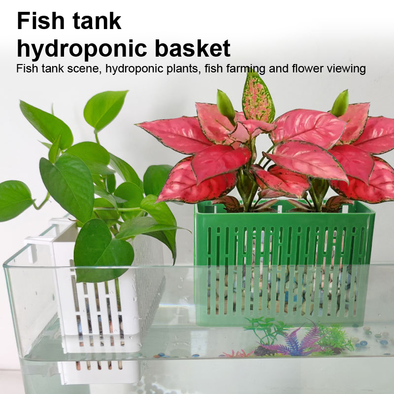 【F】Porta-piante sospeso per ac - Aquarium Plant Holder recensione e prezzo