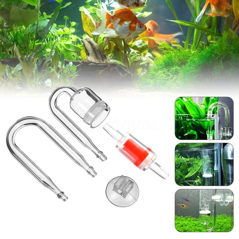 Set da 4 pezzi diffusore di CO - Aquarium Moss recensione e prezzo