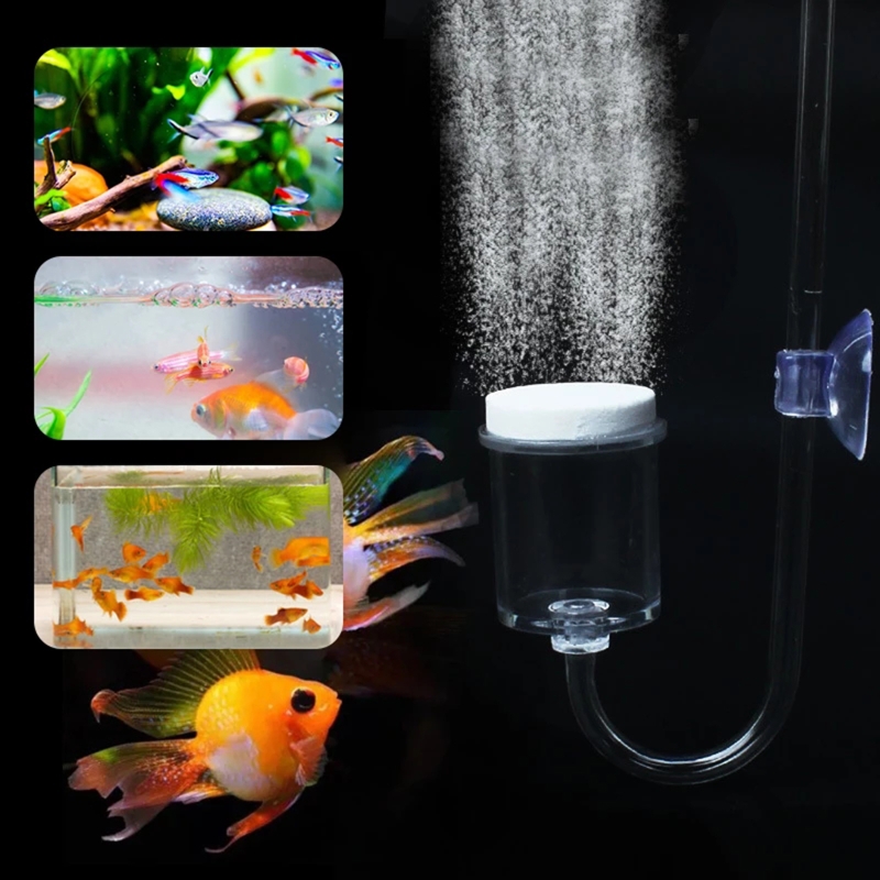 Set da 4 pezzi diffusore di CO - Aquarium Moss recensione e prezzo