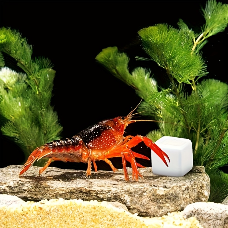 6 Pezzi di Blocchi di Calcio p - Aquarium Plants Live recensione e prezzo