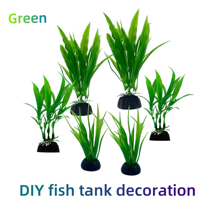 6 pezzi confezioni di piante d - Aquarium Plants Live recensione e prezzo