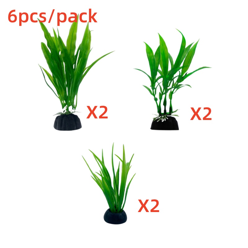 6 pezzi confezioni di piante d - Aquarium Plants Live recensione e prezzo